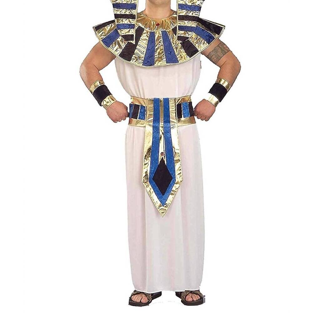 NEW FORUM NOVELTIES adult super tut costume in white/blue/gold